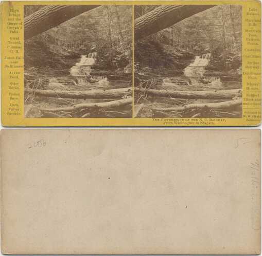 Dark Valley Cascade with Fallen Tree