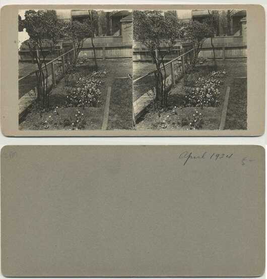 Residential Backyard Garden