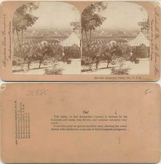 Vineyard Valley View with Cart