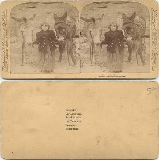 Girl and Two Donkeys