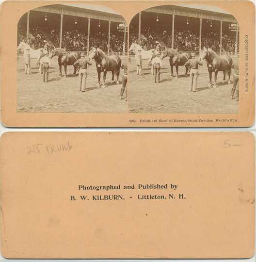 Blooded Horses Exhibit