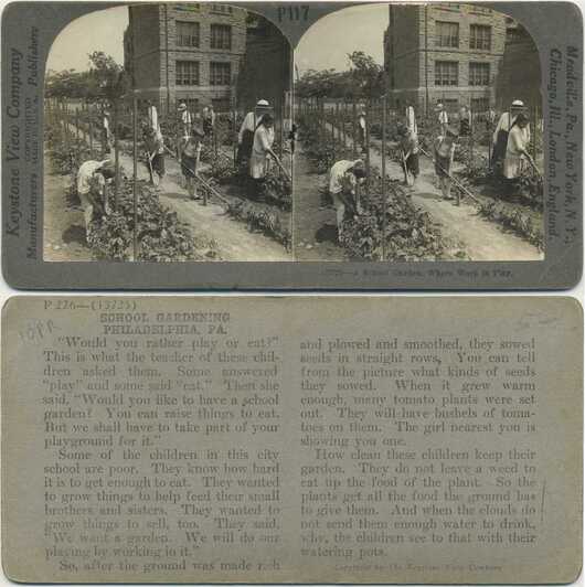 Children Working in School Garden