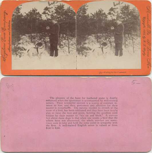 Hunter and Dogs in Snow