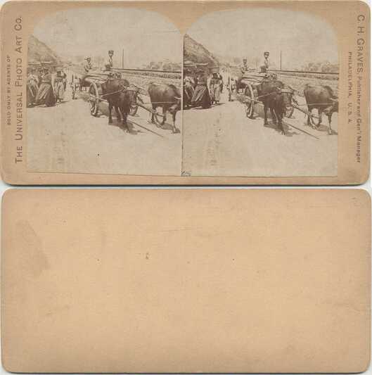 Oxen Carts and Pedestrians