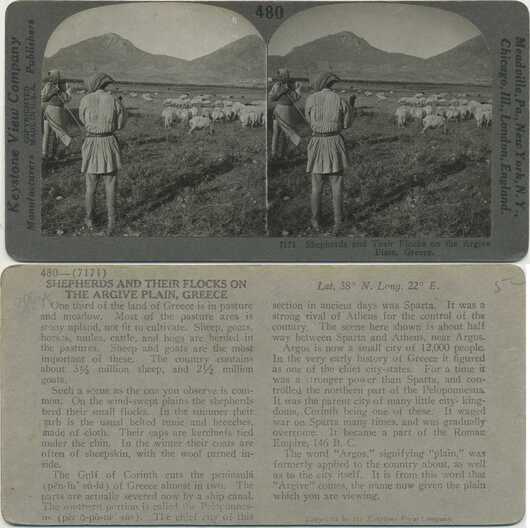 Shepherds and Flocks on Plain