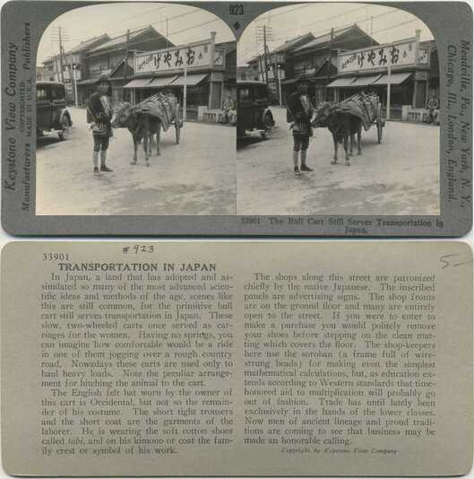 Bull Cart Transportation