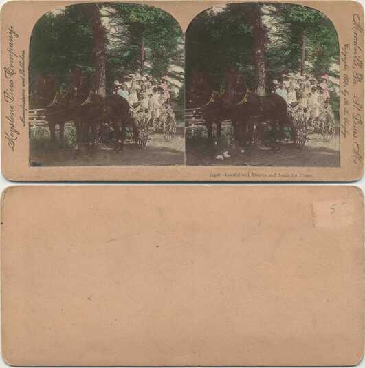 Wagon loaded with daisies and people