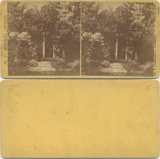 House Entrance with Lush Foliage