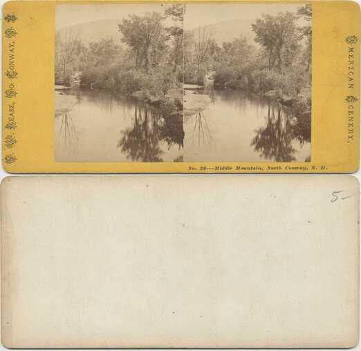River with Trees and Mountain
