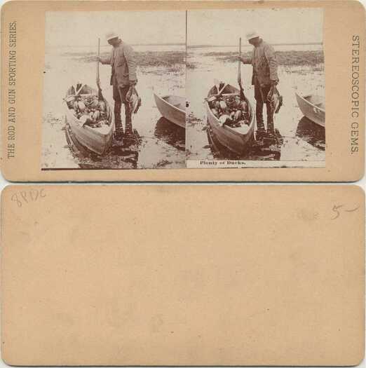 Hunter with boat full of ducks