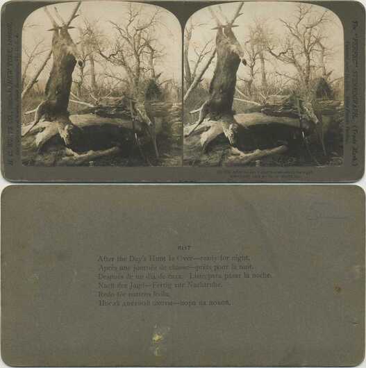 Large Game Hung from Tree, Rifle