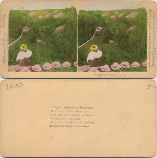 Swedish Landscape Scene
