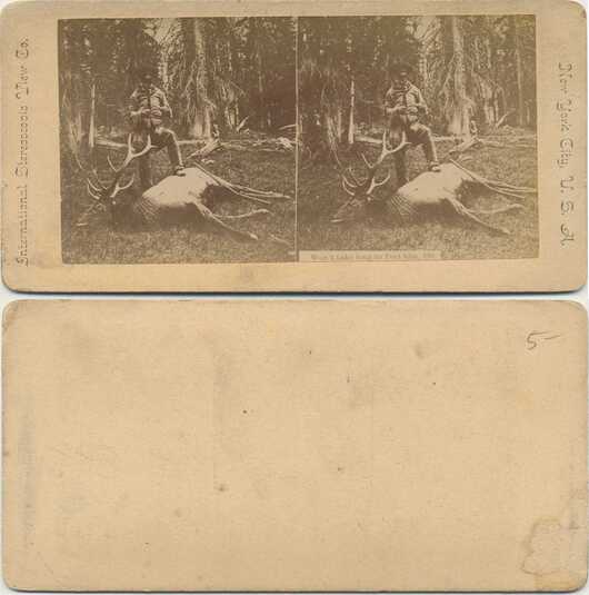 Hunter with Slain Elk in Forest