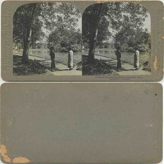 Botanical Garden Vista, Java