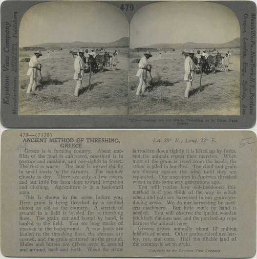 Threshing Grain with Animals