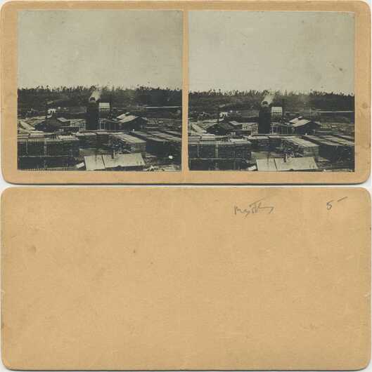 Industrial Lumber Mill