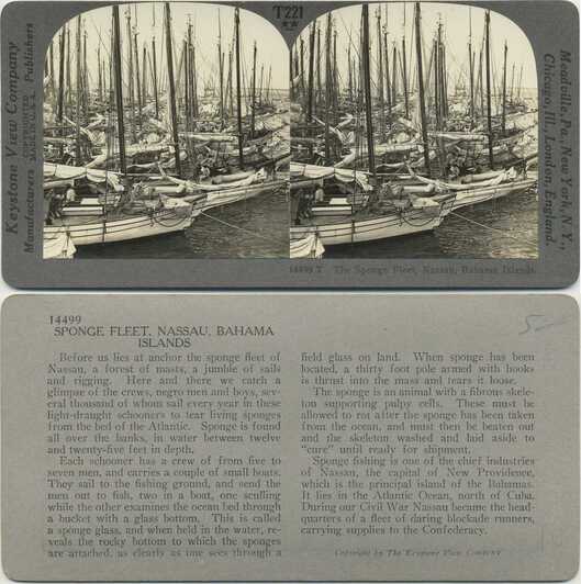 Sponge Fleet in Harbor