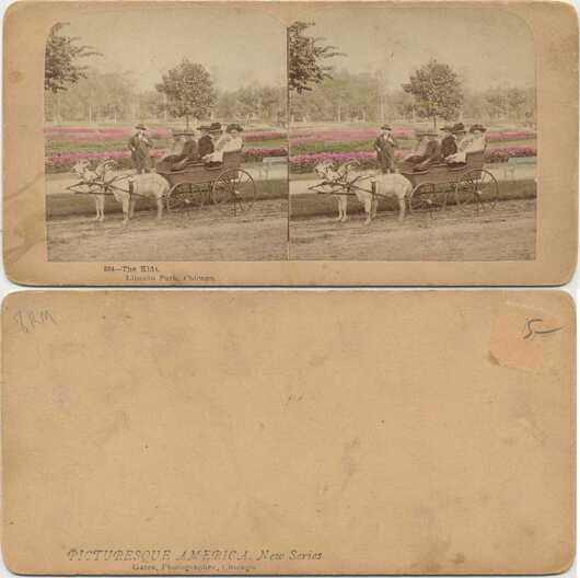 Children in Goat-Drawn Carriage