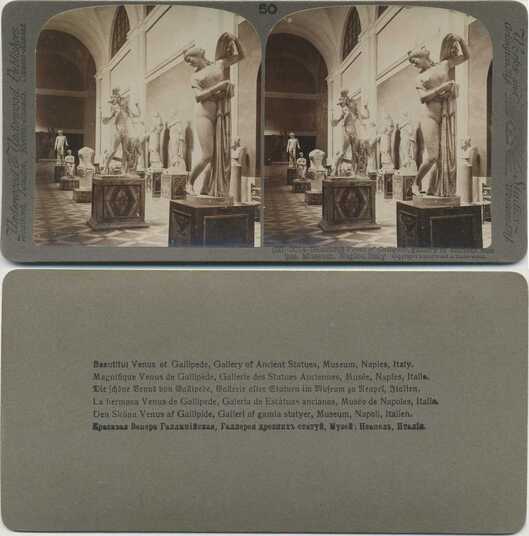 Ancient Statues in Museum Gallery