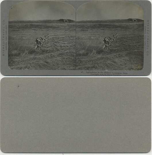 Agricultural Workers in Field