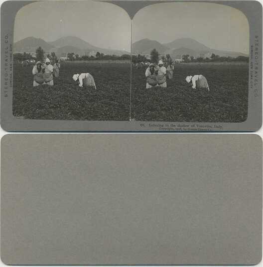 Agricultural Laborers, Vesuvius