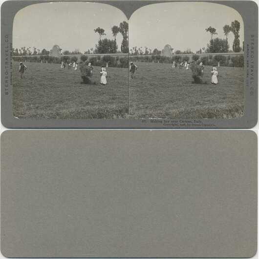 Making Hay in a Field