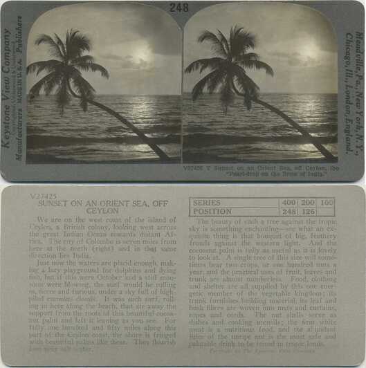 Sunset with Palm Tree, Orient Sea
