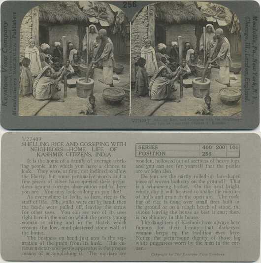 Shelling Rice and Gossiping
