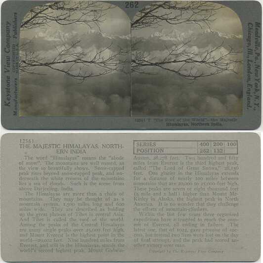 Himalayan Peaks Through Branches