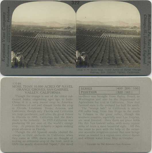 Orange Groves, San Gabriel Valley