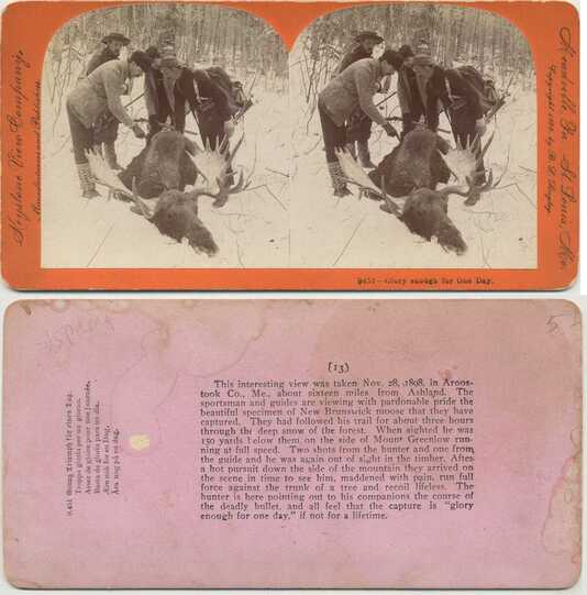 Hunters with Captured Moose