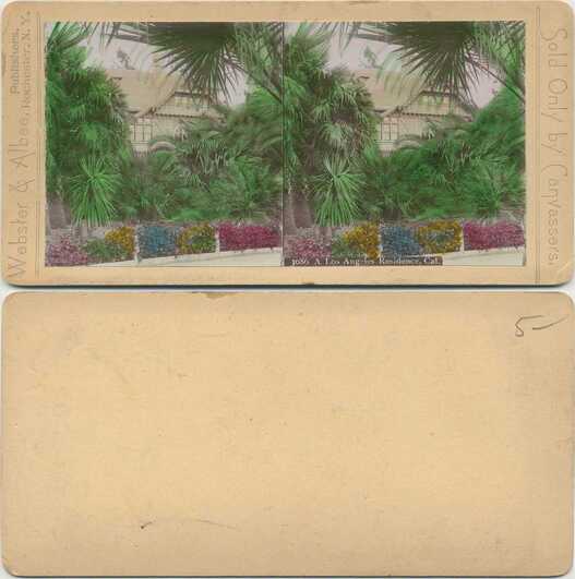Tropical Residence and Garden