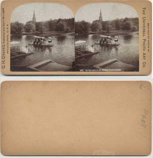 Swan Boats on Public Garden Lake