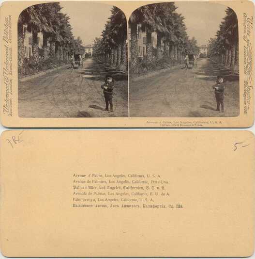Palm-lined Avenue with Child