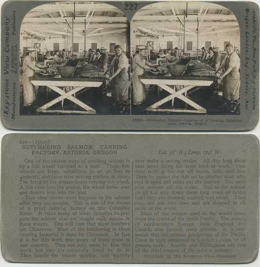 Salmon Canning Factory Interior