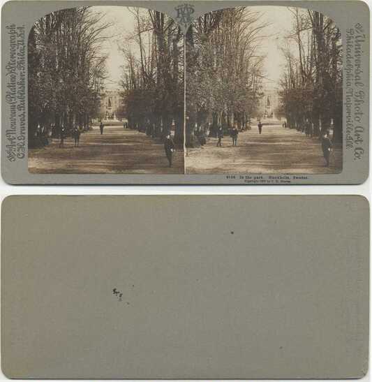 Park Avenue with People and Trees