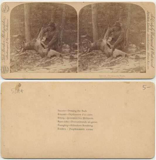 Dressing a Buck in a Forest