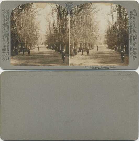 Tree-lined park path with pedestrians