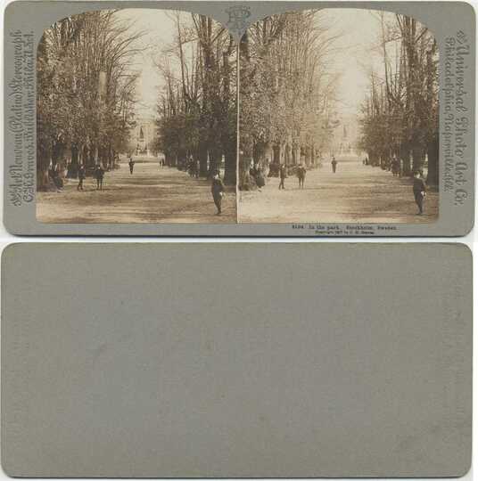 Park Avenue with Figures and Trees