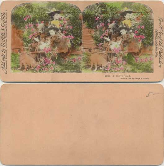 Children with flowers and dog