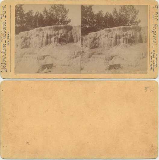 Mammoth Springs, South Terrace