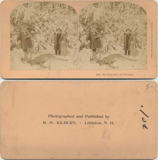 Boys, Dog, and Deer in Snow