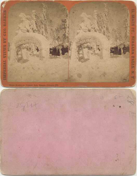 Winter Wonders in Prospect Park