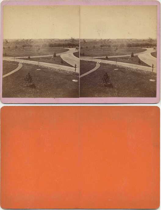 Winding Road in Park Landscape