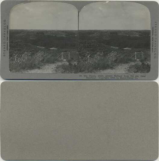 Dutch Coastal Dunes Landscape