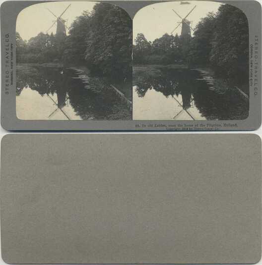Windmill, Water, and Trees