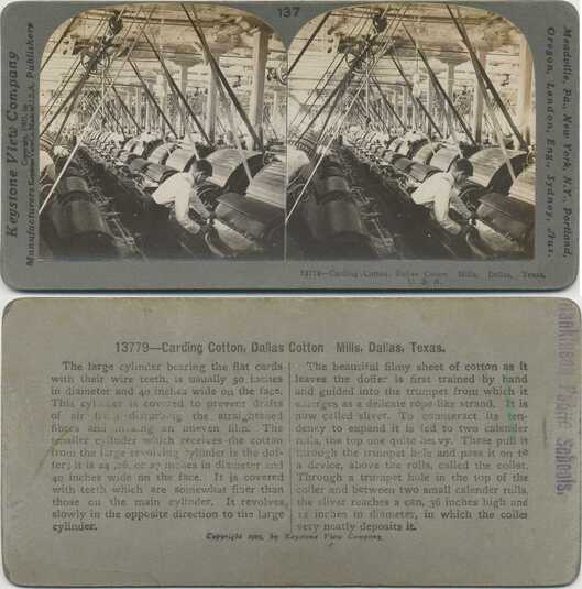 Cotton Carding Machines in Mill