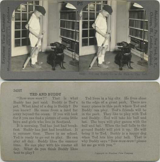 Boy and Dog with Baseball Bat