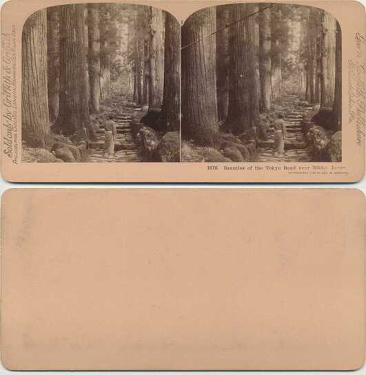 Man on Stone Path, Nikko Forest
