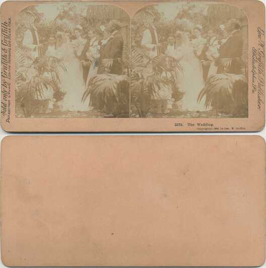 Wedding with Palm Plants